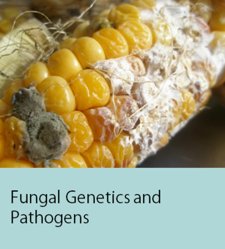 Fungal Genetics and Pathogens