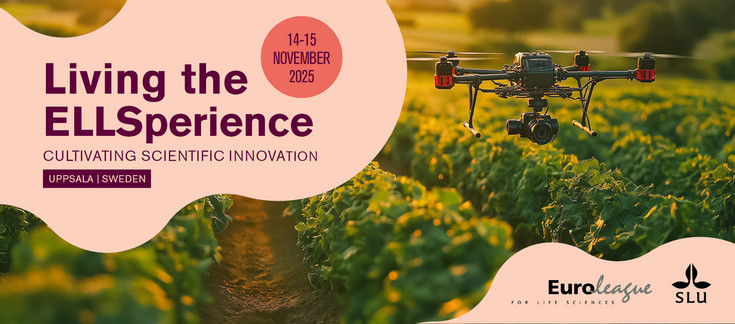 Living the ELLSperience- flyer