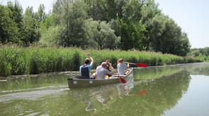 Studenten schwimmen im Boot auf einem Fluss. Das Foto ist von hinten aufgenommen.
