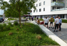 Begegnungszone Wolkersdorf