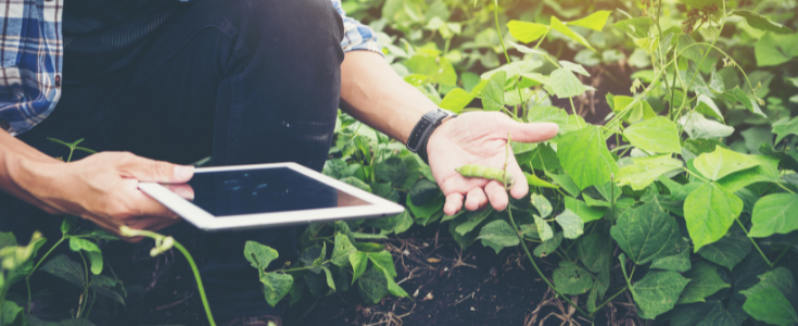 Mann mit Tablet am Feld