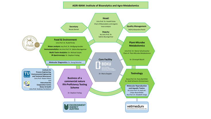 AGRI-IBAM Organigram