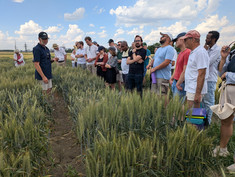 Participants in fhe field at the field day 2026