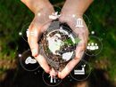 ESG-Icon-Konzept in den Händen von jungen Frauen für Umwelt, Gesellschaft und Governance SG ESG Waldschutz Konzept Umwelt, Soziales und Governance Konzepte