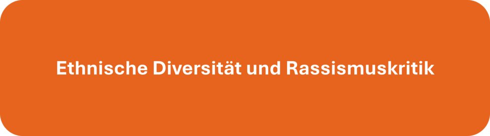 Ethnische Diversität und Rassismuskritik