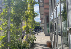 Foto: Blick zwischen Grün- und Glaswand. Dazwischen ein ca. 2 Meter breiter Gehweg. Die im wachsen begriffene Grünwand beschattet bereits die Glaswand teilweise.