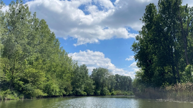 Auenlandschaft, Fluss gesäumt mit Bäumen, Sträuchern und Schilf, blauer Himmel, weiße Wolken