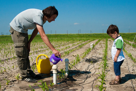 Symbolfoto man with child watering plant