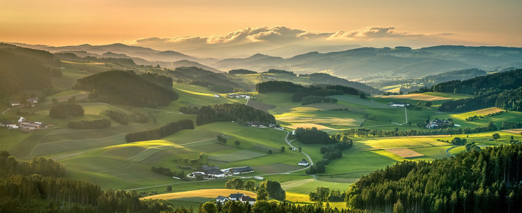 Hügelige Wald- und Wiesenlandschaft in der Dämmerung.