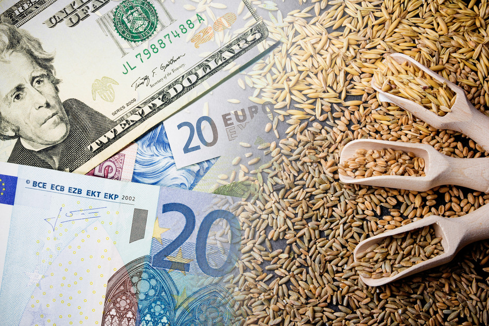 Oat price background. Upcoming food crisis. Wheat price raising. Food cost symbolic background. Agriculture industry grow. High price of grain.