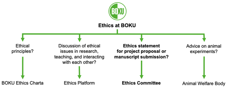 Overview of ethics contact points at BOKU