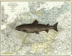 Railroad Map with a salmon