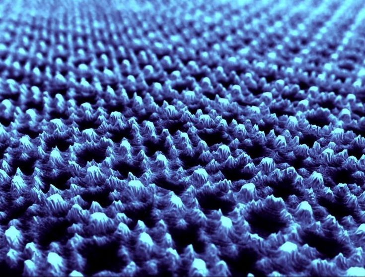 AFM image of an S-layer on a silicon wafer