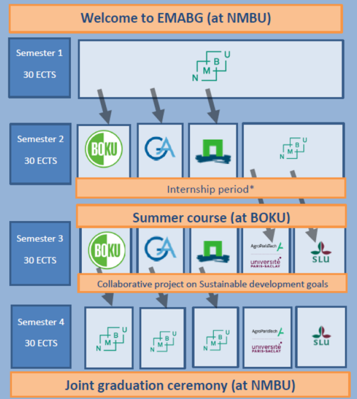 Graph explaining structure and mobility tracks of EMABG programme
