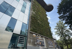 Wide-angle shot of a flak tower from below. Cyclists are standing in front of it, looking at the greenery on the façade.