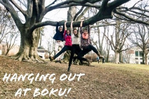 Symbolfoto students hanging on a tree