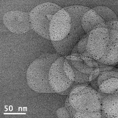 Iron oxide nanoparticles modified with nitroDOPA-palmityl and stably inserted into the membranes of POPC liposomes.