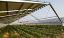 Solar,Photovoltaic,Panels,And,Planting,Base