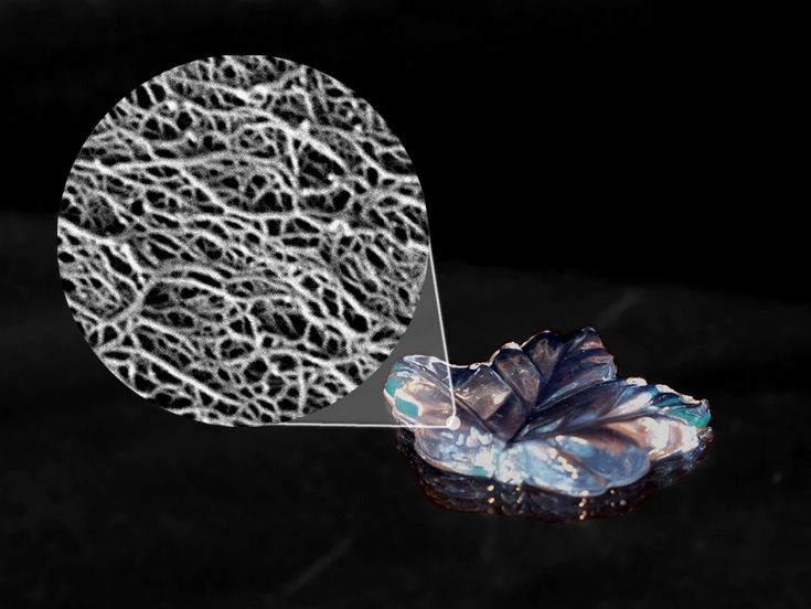 Hydrogel aus nativen Cellulose-Nanofibrillen und Elektronenmikroskopie-Aufnahme der Oberflächenstruktur (Bildausschnitt 1 µm)  © Marco Beaumont / BOKU