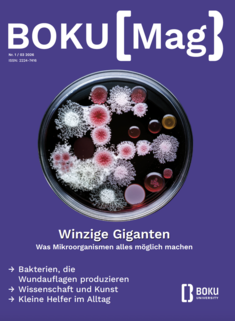 Cover BOKU Magazin 1/2026