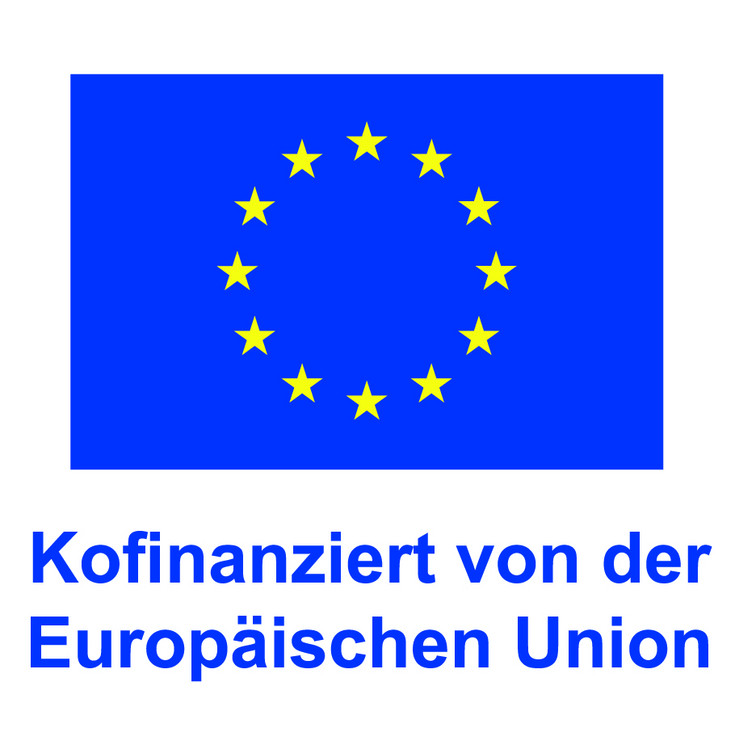 EU-Fahne - Kofinanziert von der Europäischen Union