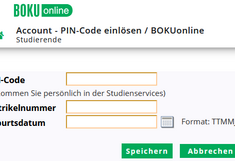 Abbildung PIN-Code einlösen