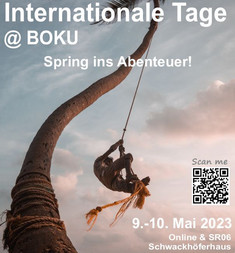 Person schwingt sich von einer Palme mit einem Seil, daher das Motto "Spring ins Abenteuer"