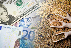 Oat price background. Upcoming food crisis. Wheat price raising. Food cost symbolic background. Agriculture industry grow. High price of grain.