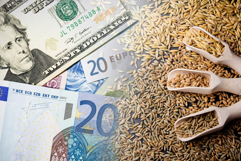© iStock (iStock) Oat price background. Upcoming food crisis. Wheat price raising. Food cost symbolic background. Agriculture industry grow. High price of grain.
