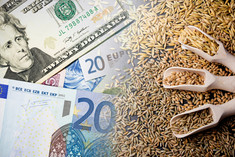 © iStock (iStock) Oat price background. Upcoming food crisis. Wheat price raising. Food cost symbolic background. Agriculture industry grow. High price of grain.