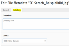 Backend: Metadaten am Fileserver eingeben