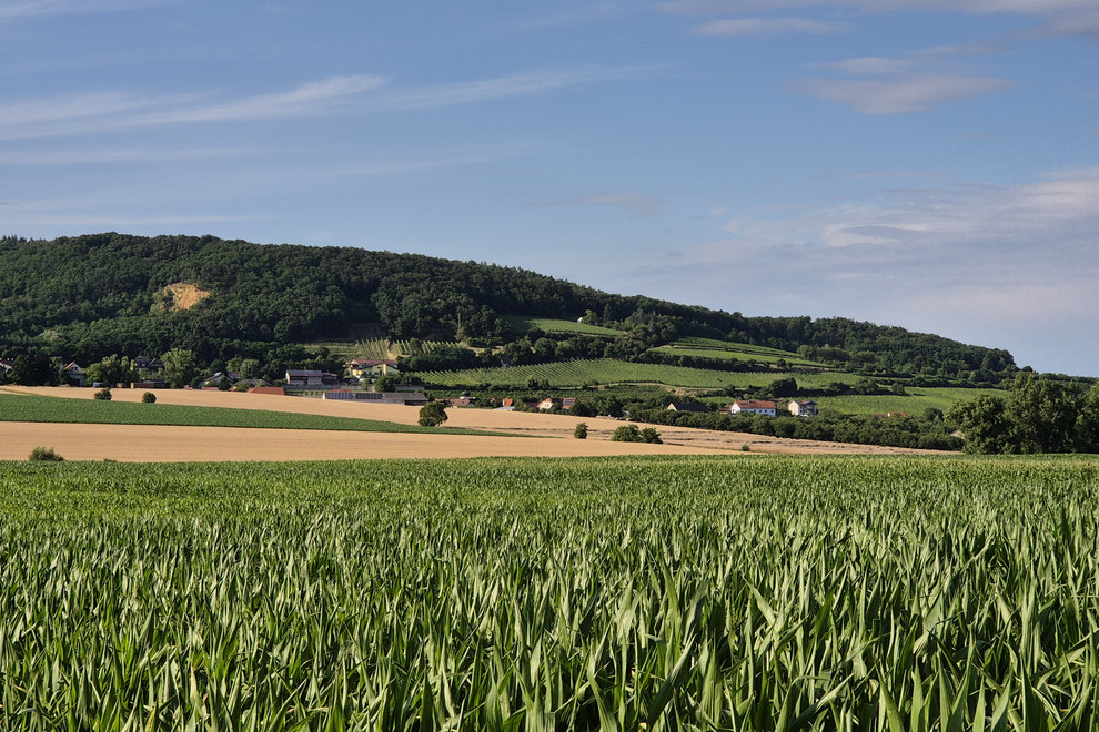 Forests, meadows and agricultural fields