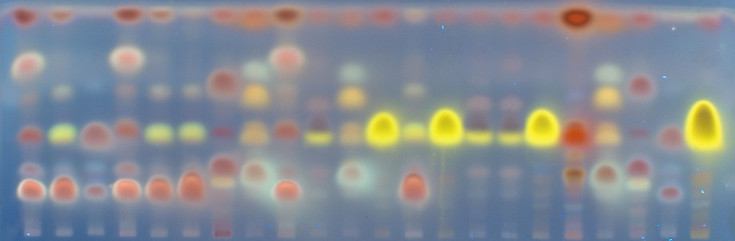 [Translate to English:] An HPTLC analysis of essential oil