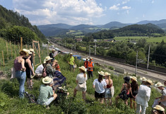 The members of the excursion group are standing at the foot of the reforestation area; below them lie the railway line and construction containers.