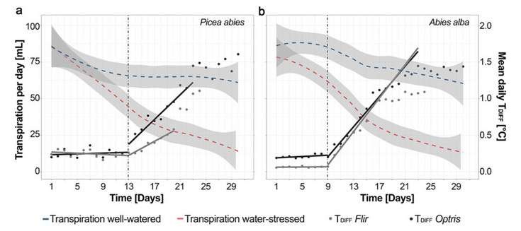 Change of daily transpiration © IBLB, 2025 2 Diagramme: Abnehmende Transpiration mit fortlaufender Zeit bei den wassergestressten Pflanzen, sowohl bei A. alba als auch bei P. abies.