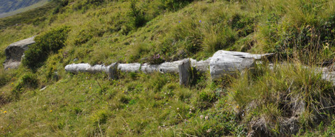 Alte Hangsicherung aus Holz