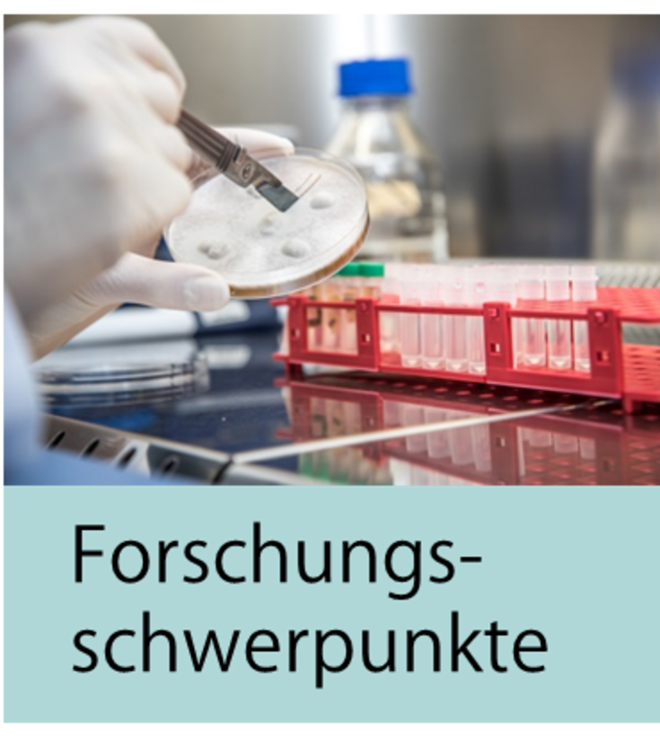 Forschungsschwerpunkte