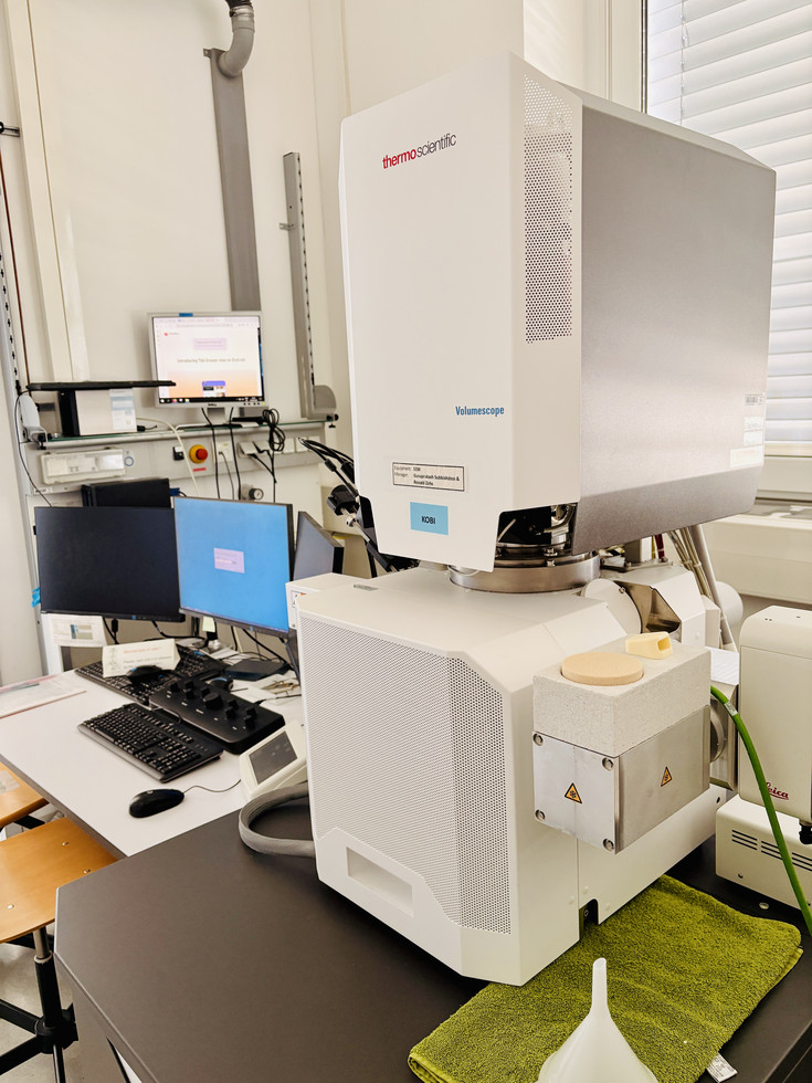 Picture of Scanning Electron Microscope FEI Apreo VolumeScope