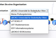 Auswahl der Organisationseinheit