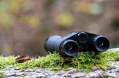 binoculars in woods