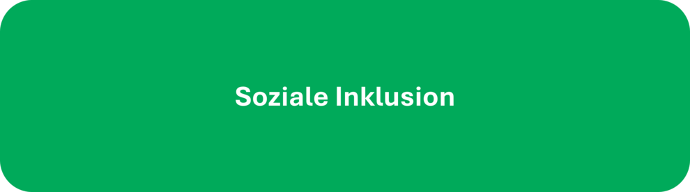 Soziale Inklusion
