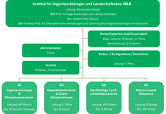 Organigramm des Institutes IBLB
