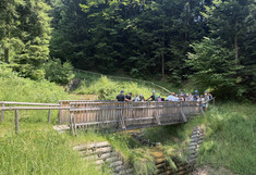 The group is standing on a bridge over a mountain torrent. Bioengineering protection measures are visible.