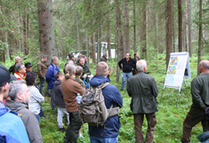 Foto von einem Projekttreffen im Wald