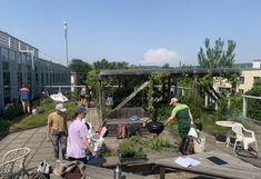 Pflege PV-Dachgarten