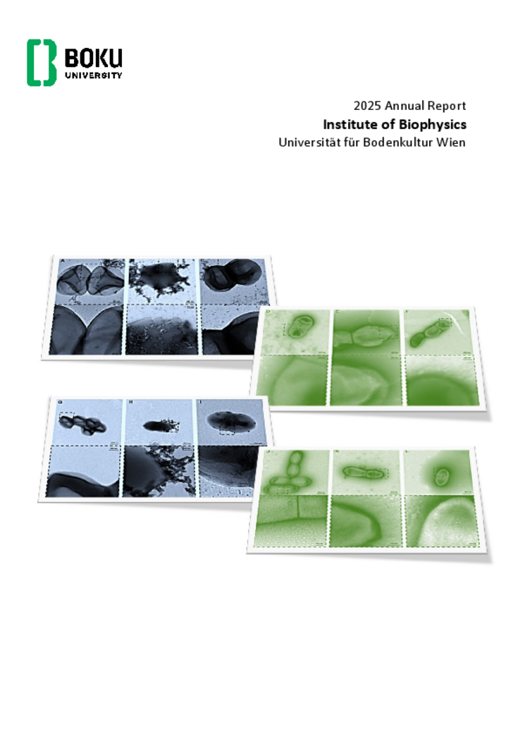Annual Report Biophysics 2025