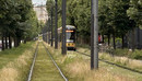 Eine grüner Wiesenstreifen mit Schienen, eine Straßenbahn fährt gerade darauf.