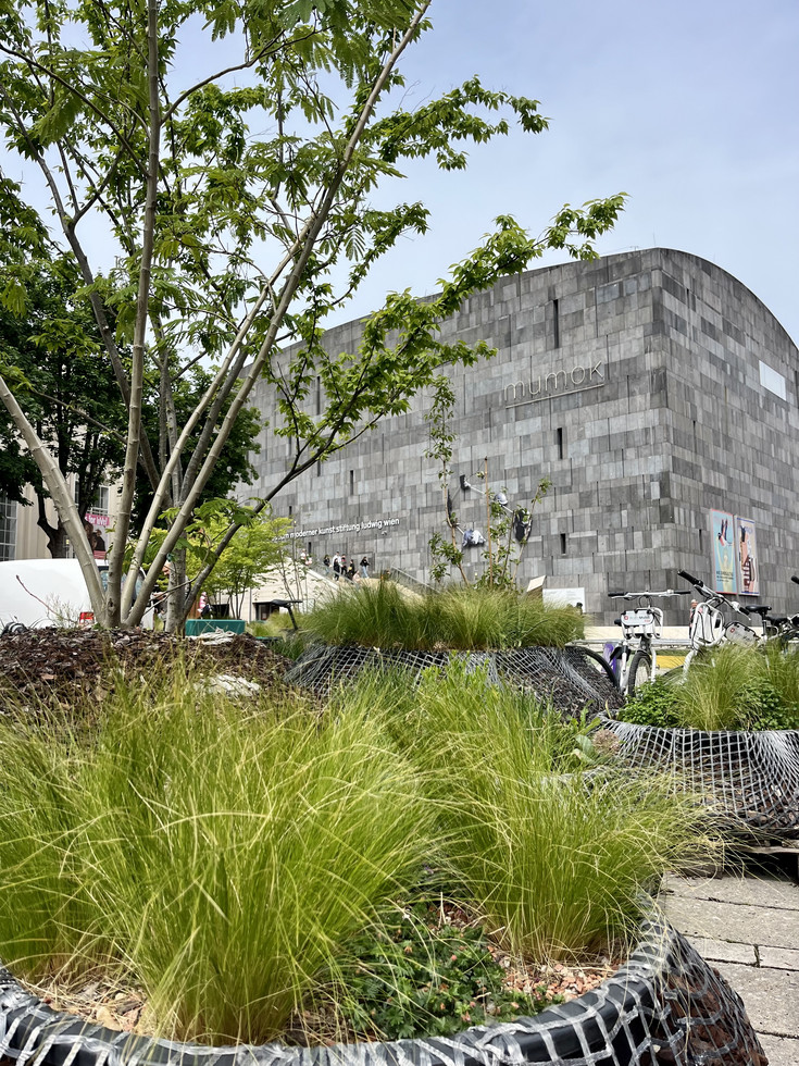 © BRIEFER, 2025 Mit Gräseren oder Bäumen begrünte Inseln vorm MuseumsQuartier.