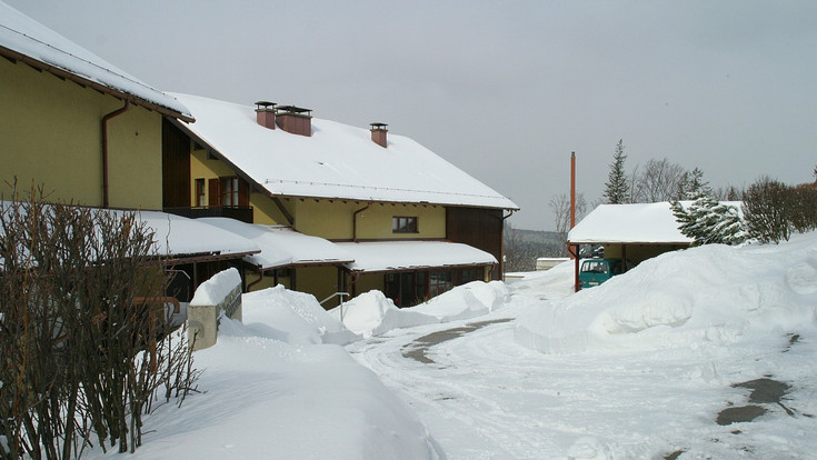 The forest centre in winter