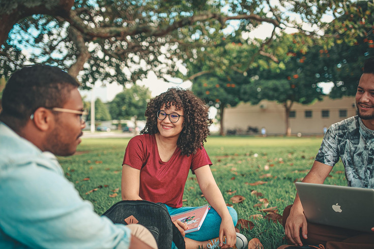 Studierende, die im Park gemeinsam Lernen